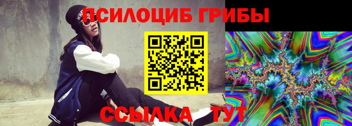 Южноуральск  Псилоцибиновые грибы Cubensis  Вход с VPN 